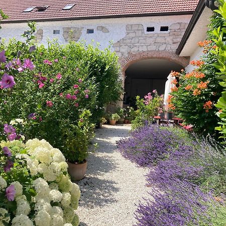 莫比斯希安西Haus Diogenes公寓 外观 照片